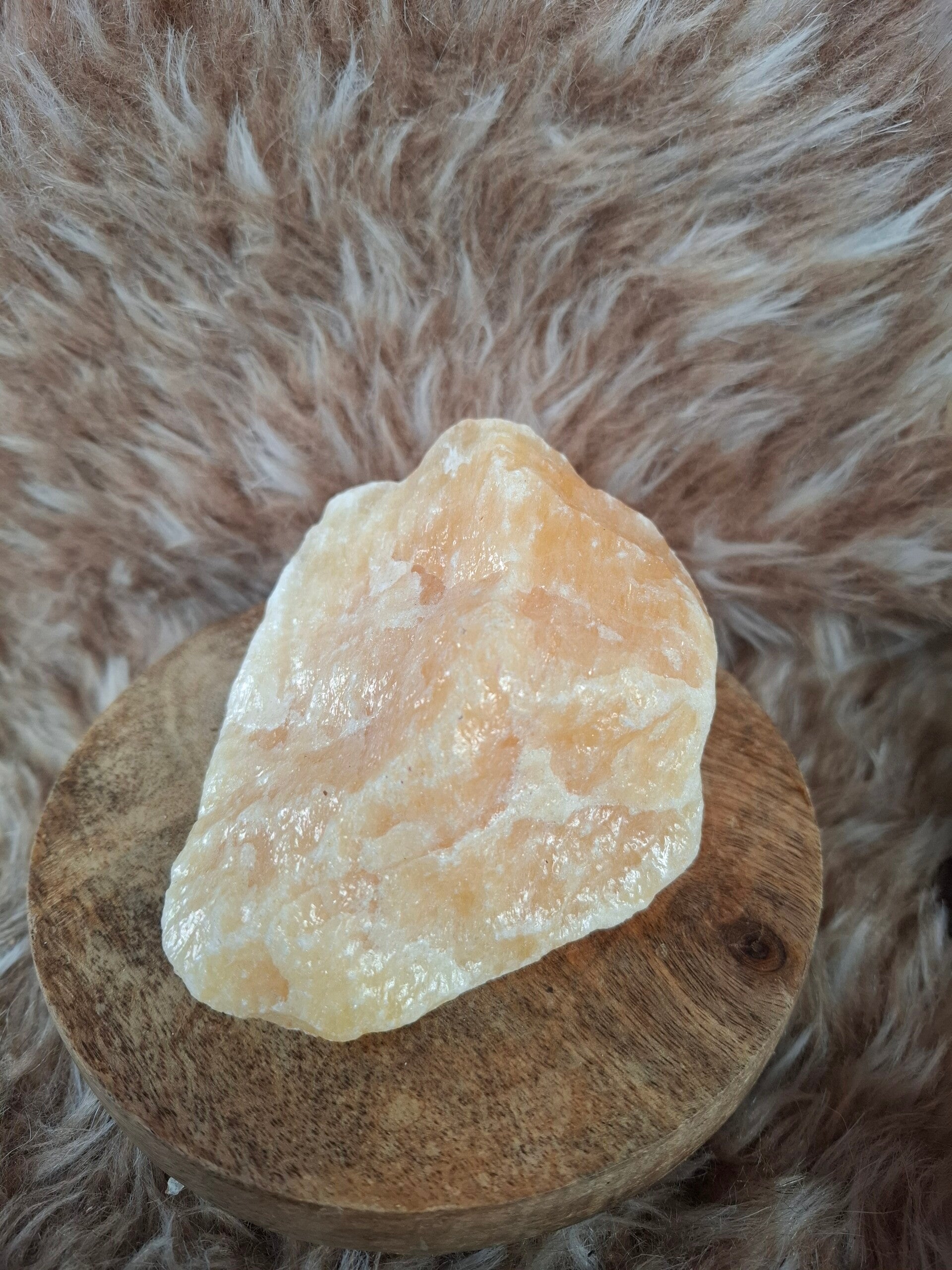Gele calciet ruw