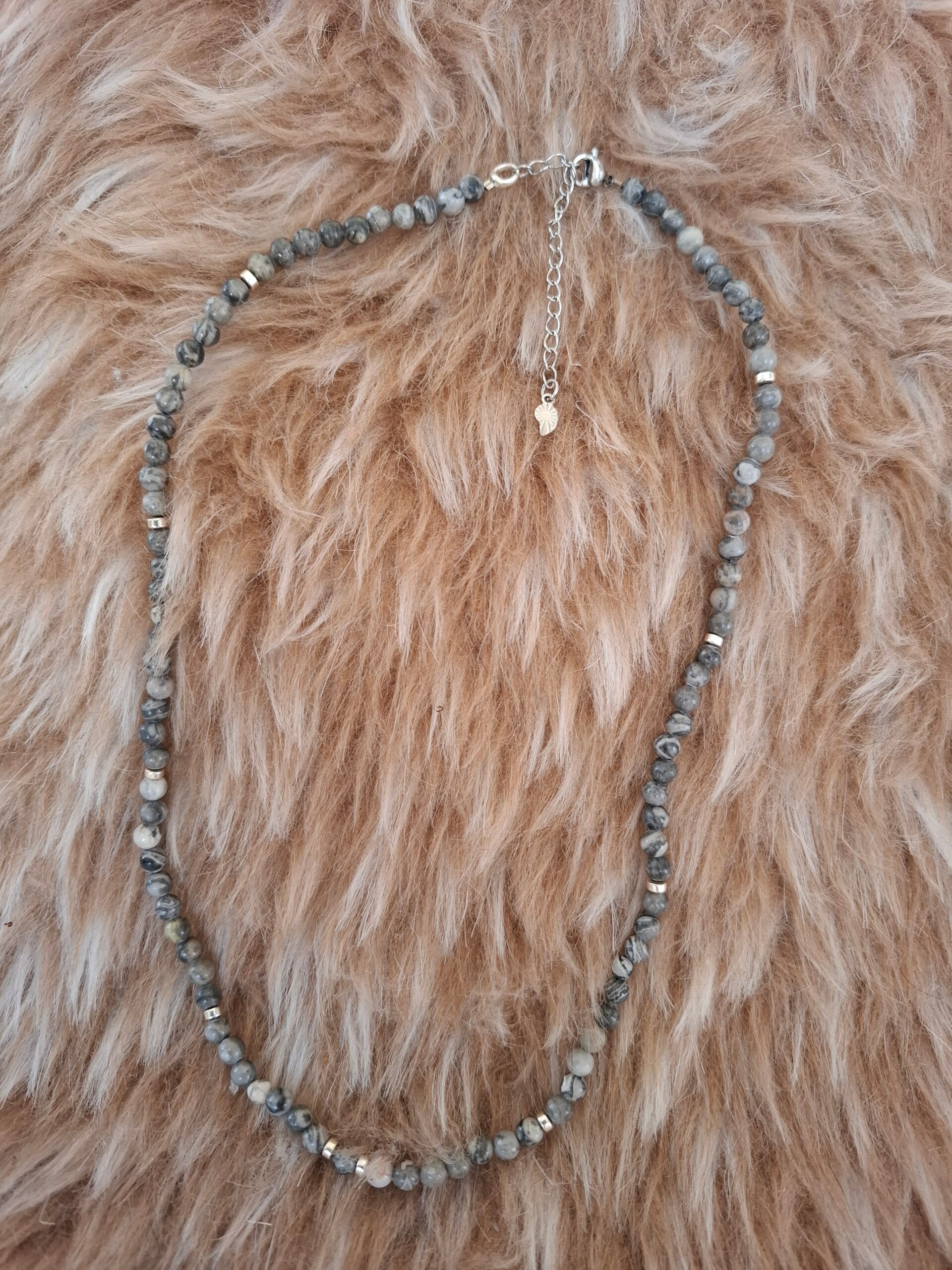 Picture jaspis zilverkleurige ketting