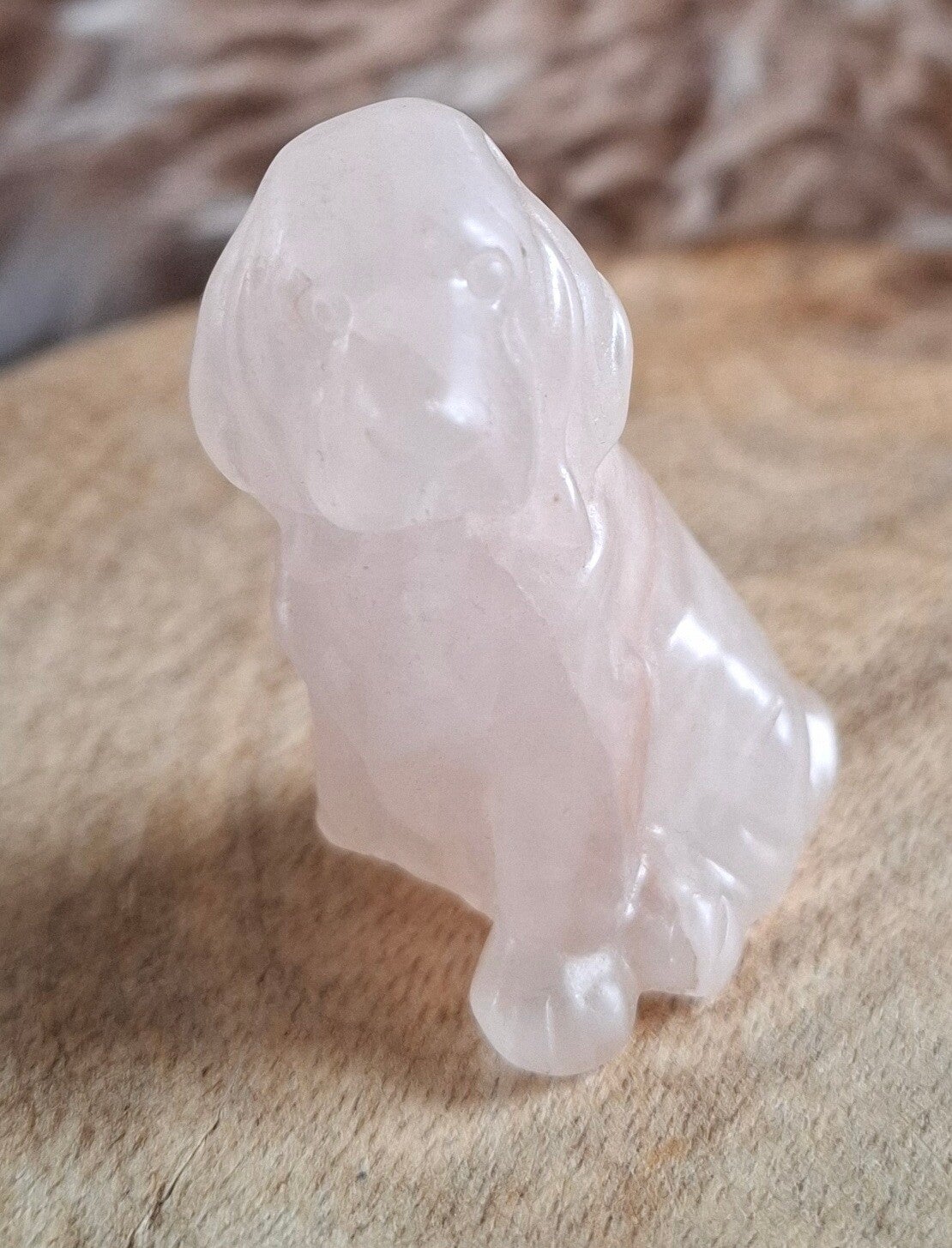 Rozenkwarts labrador