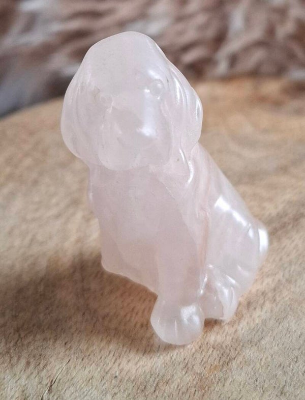 Rozenkwarts labrador