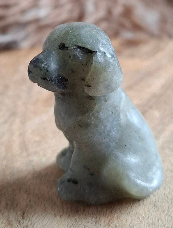 Labradoriet labrador