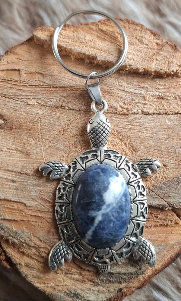 Sodaliet schildpad