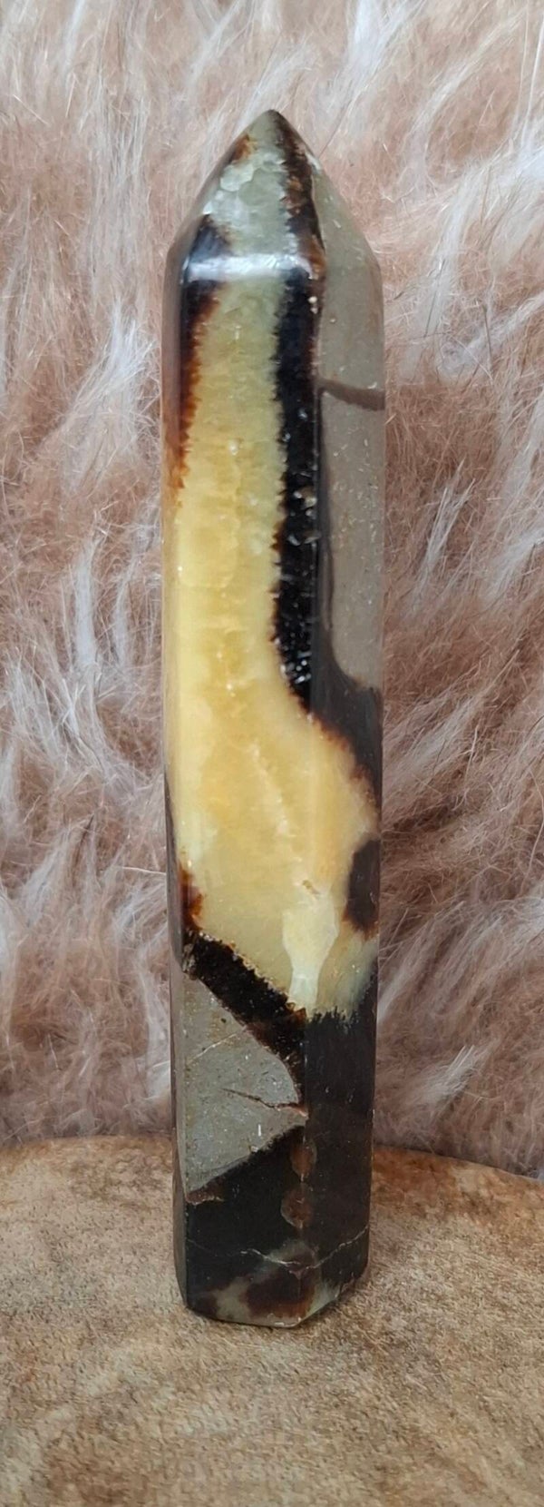 Septari punt