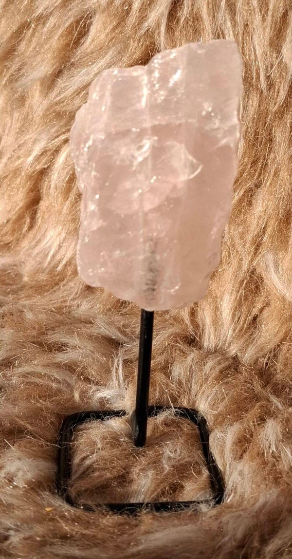 Rozenkwarts op standaard