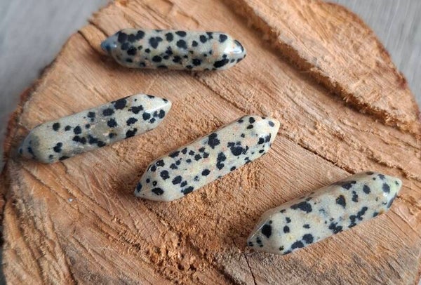 Dalmatiër Jaspis dubbeleinder