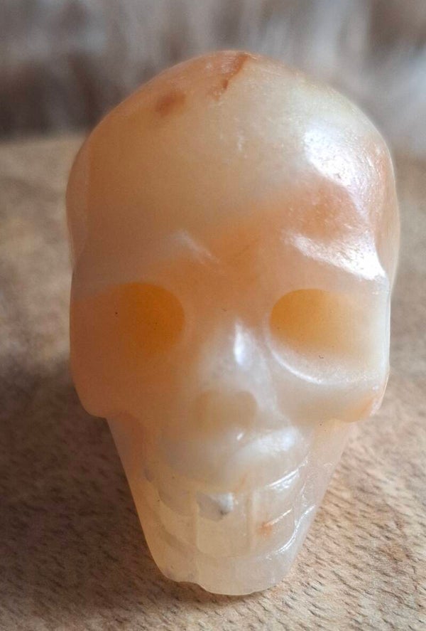 Gele calciet skull
