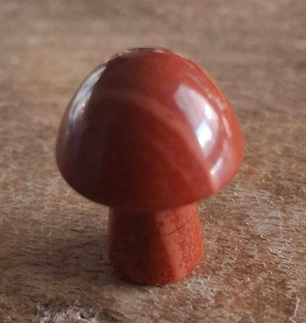 Rode jaspis paddestoel