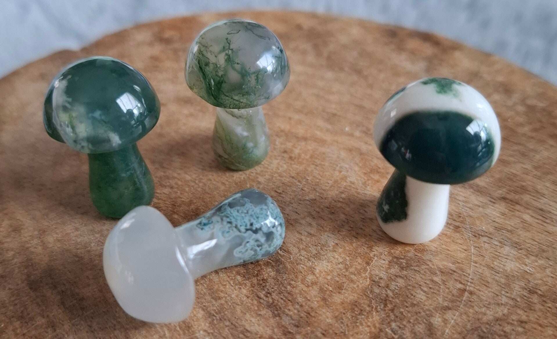 Mosagaat mini paddestoel