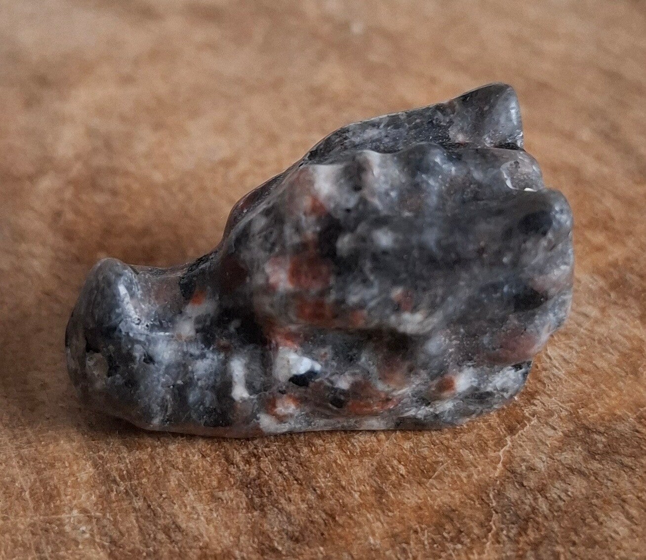 Yooperlite draak
