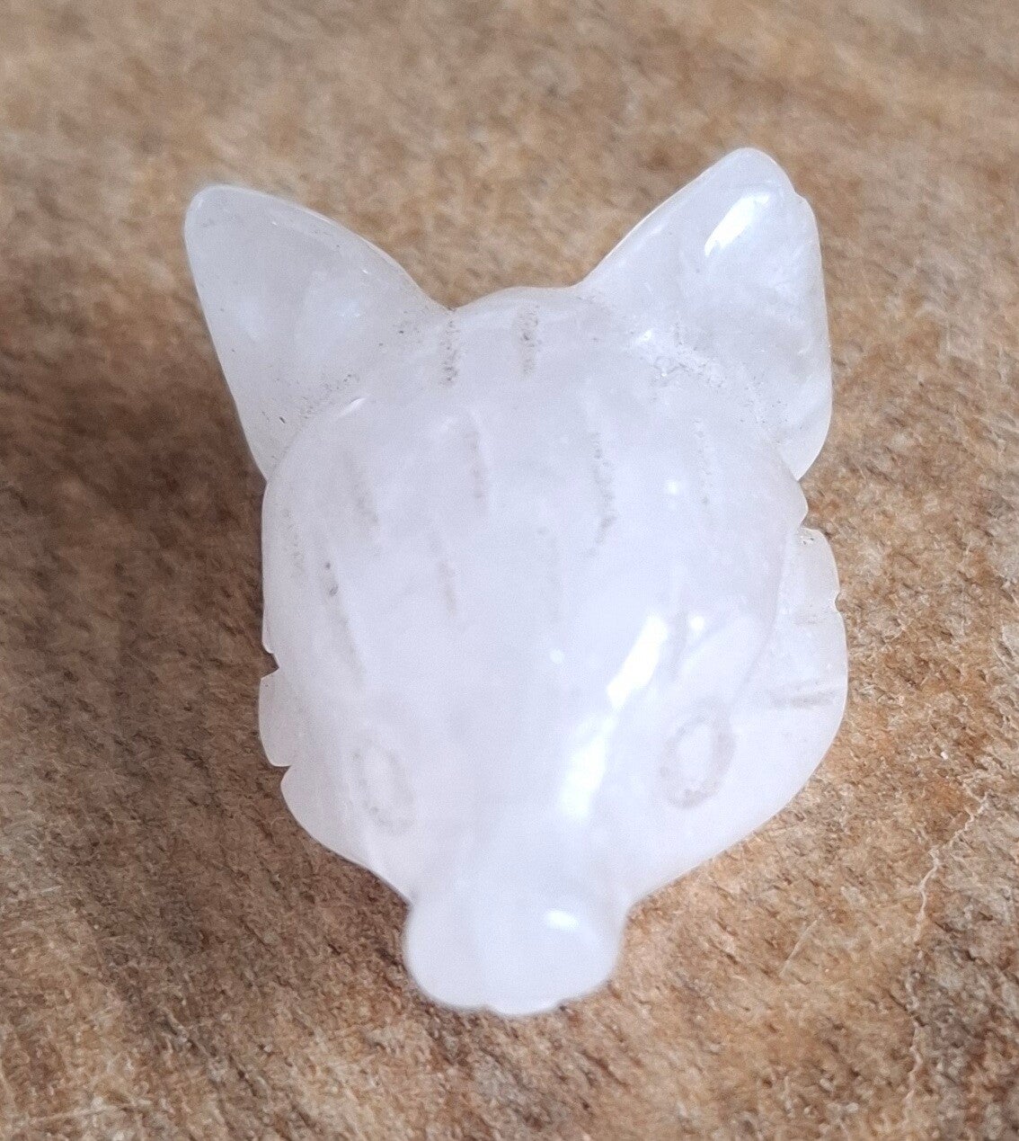 Rozenkwarts wolvenkop
