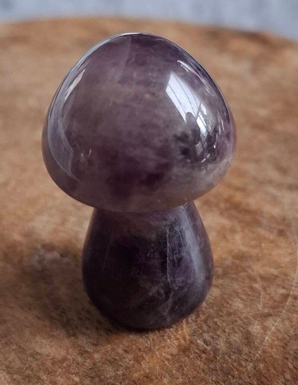 Amethist paddestoel