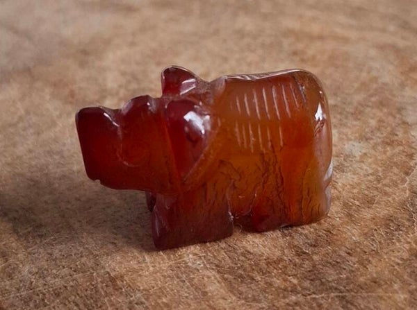 Carneool neushoorn