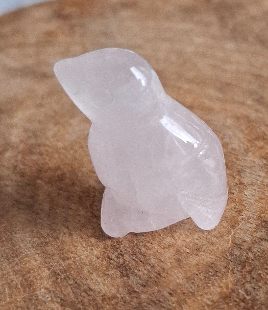 Rozenkwarts vogeltje