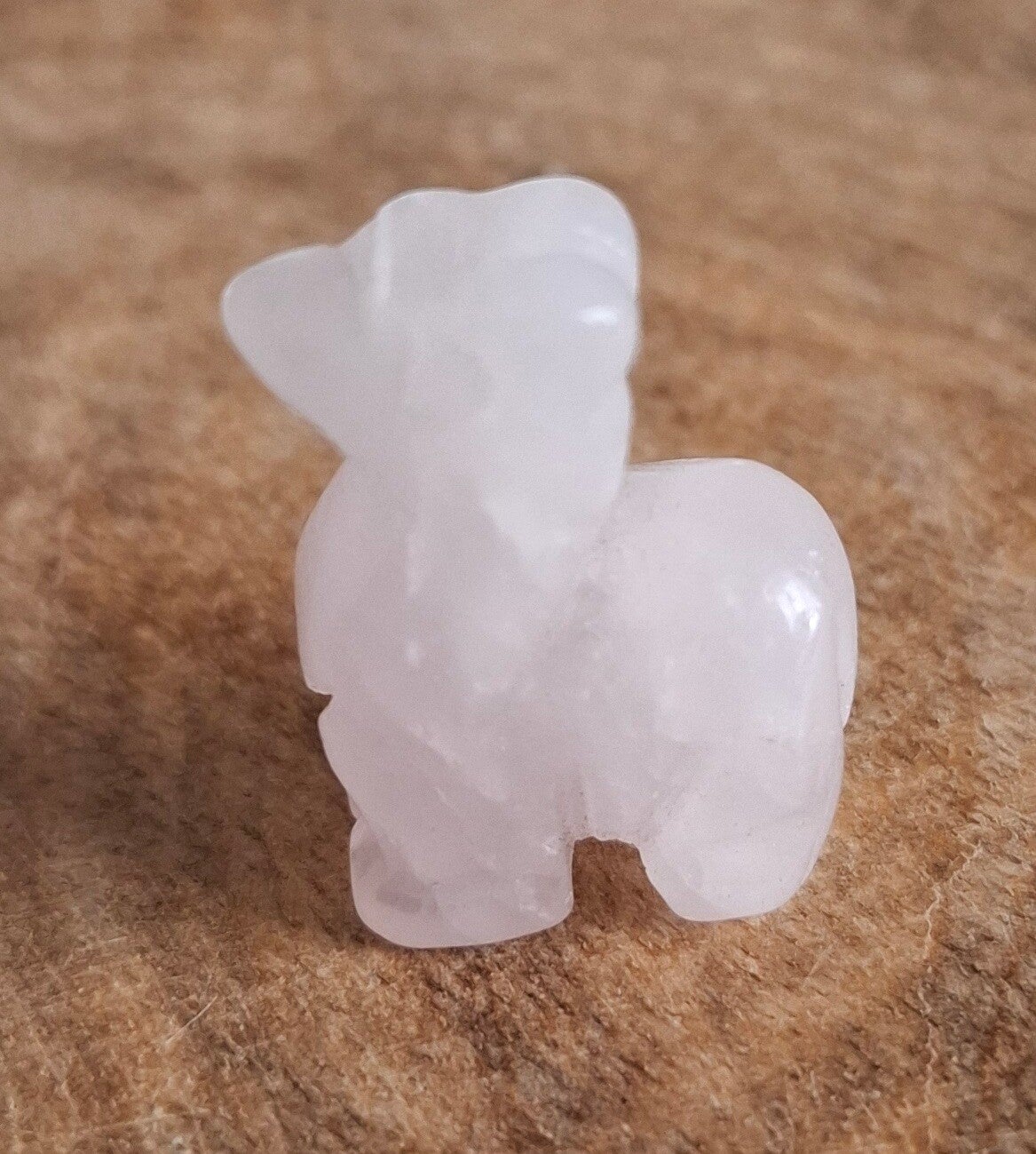 Rozenkwarts alpaca