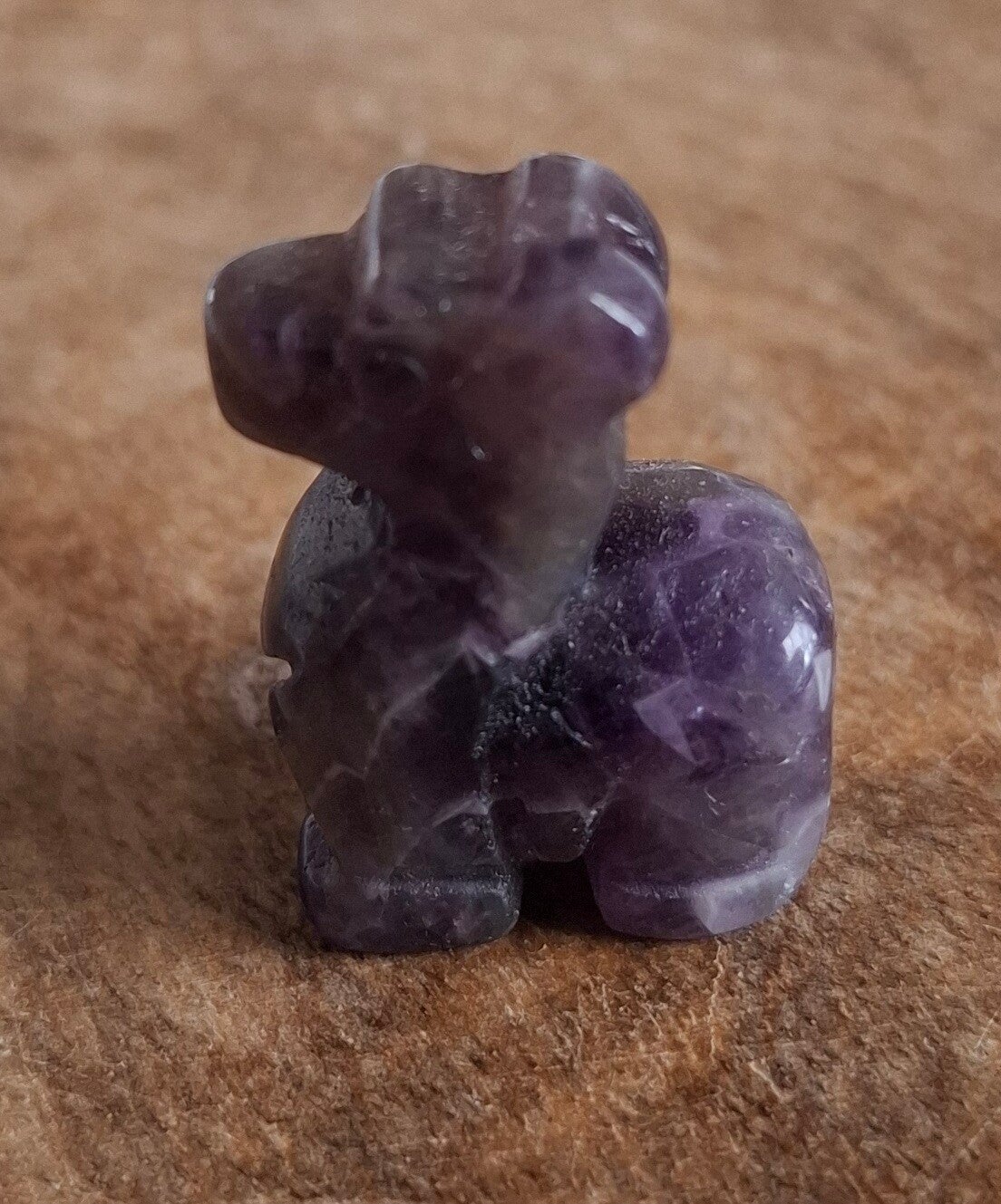 Amethist alpaca