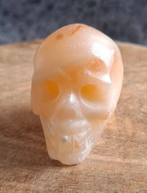 Gele calciet skull