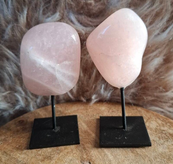 Rozenkwarts op standaard