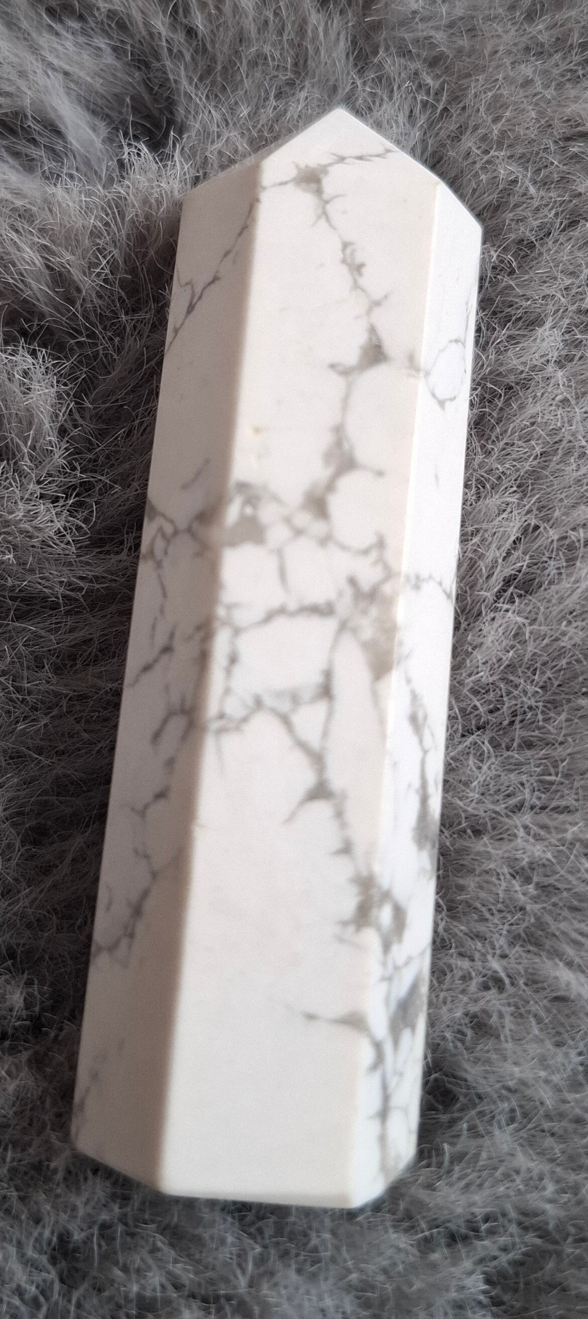 Witte howliet punt