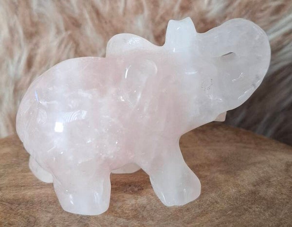 Rozenkwarts olifant