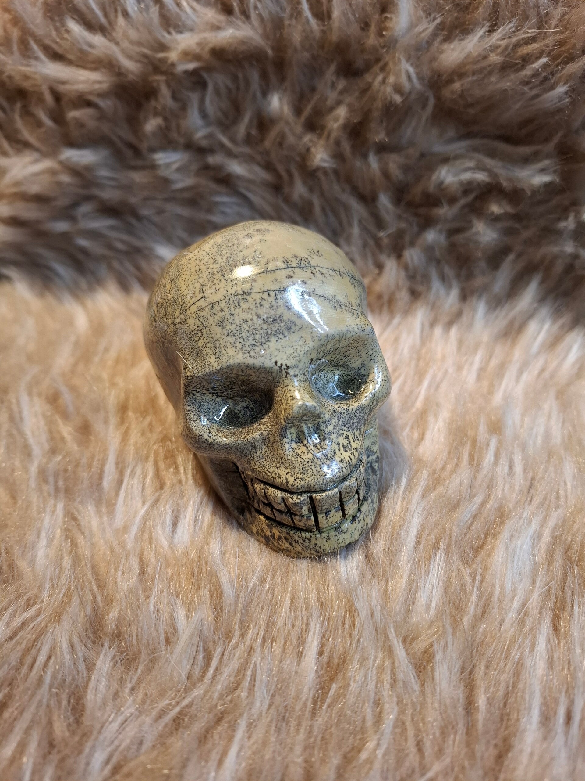 Jaspis skull