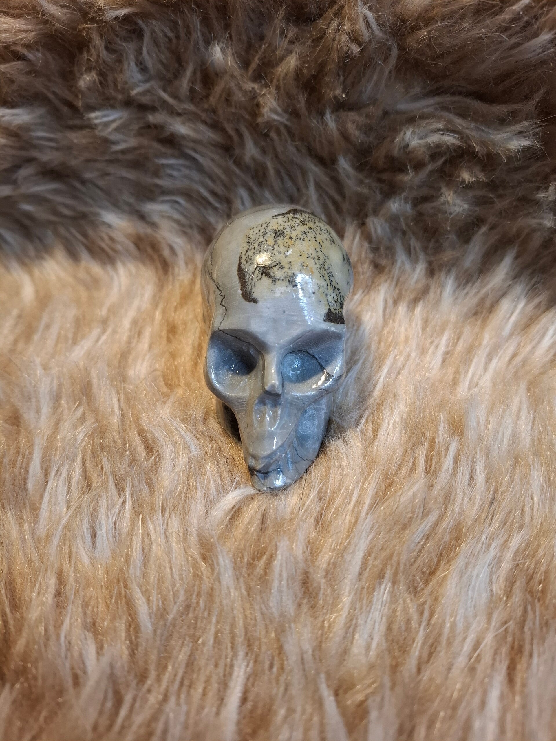 Jaspis skull