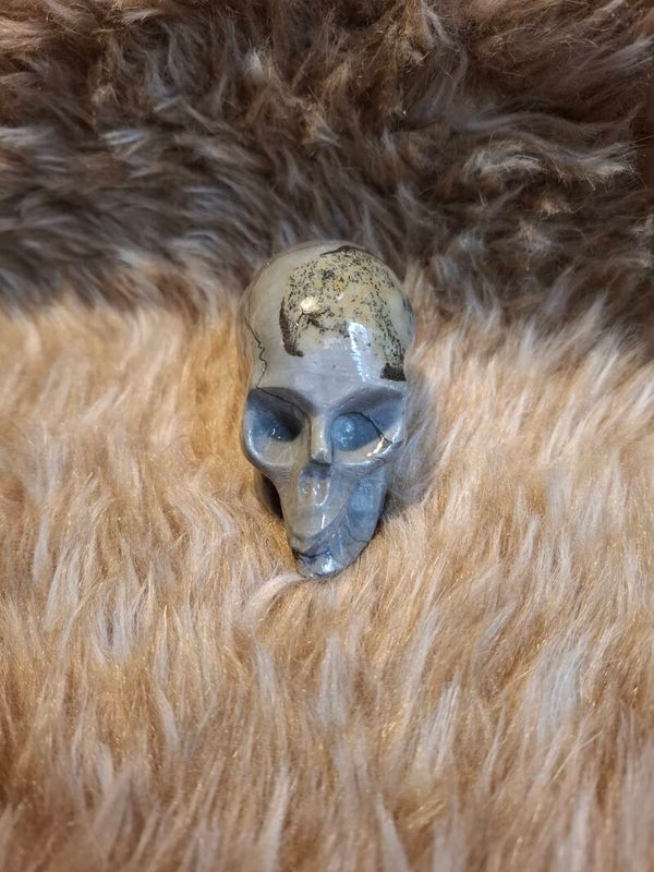 Jaspis skull
