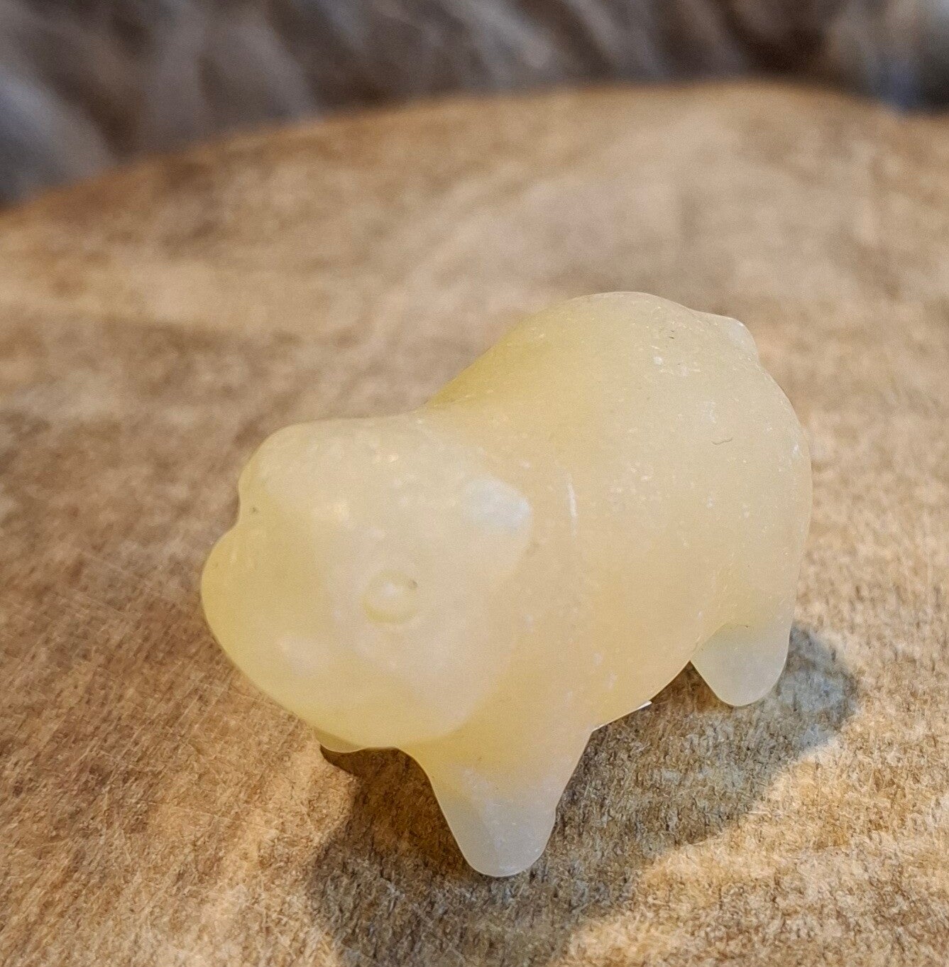 Gele calciet varkentje