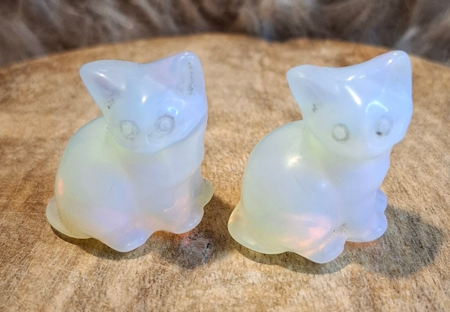 Opaliet kat
