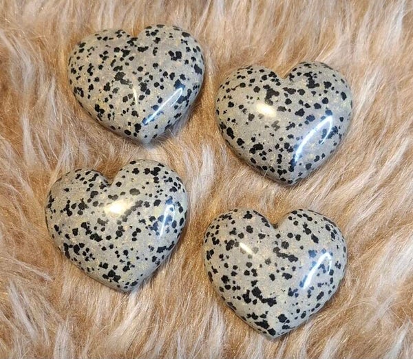 Dalmatiër hart