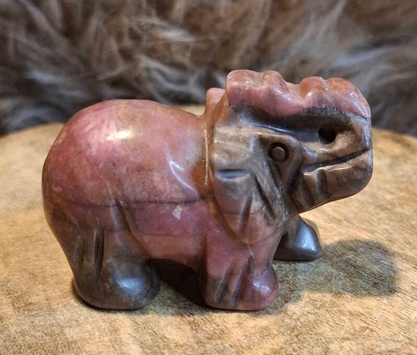 Rhodoniet olifant