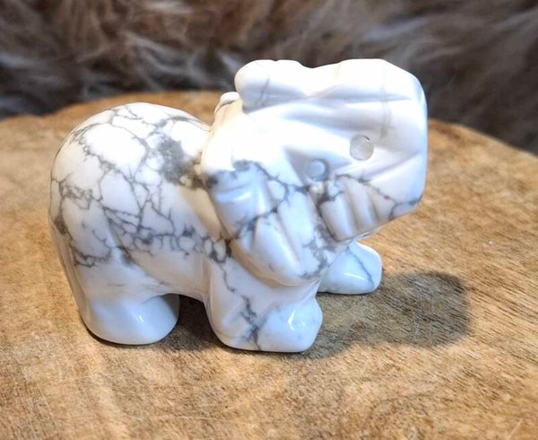 Witte howliet olifant