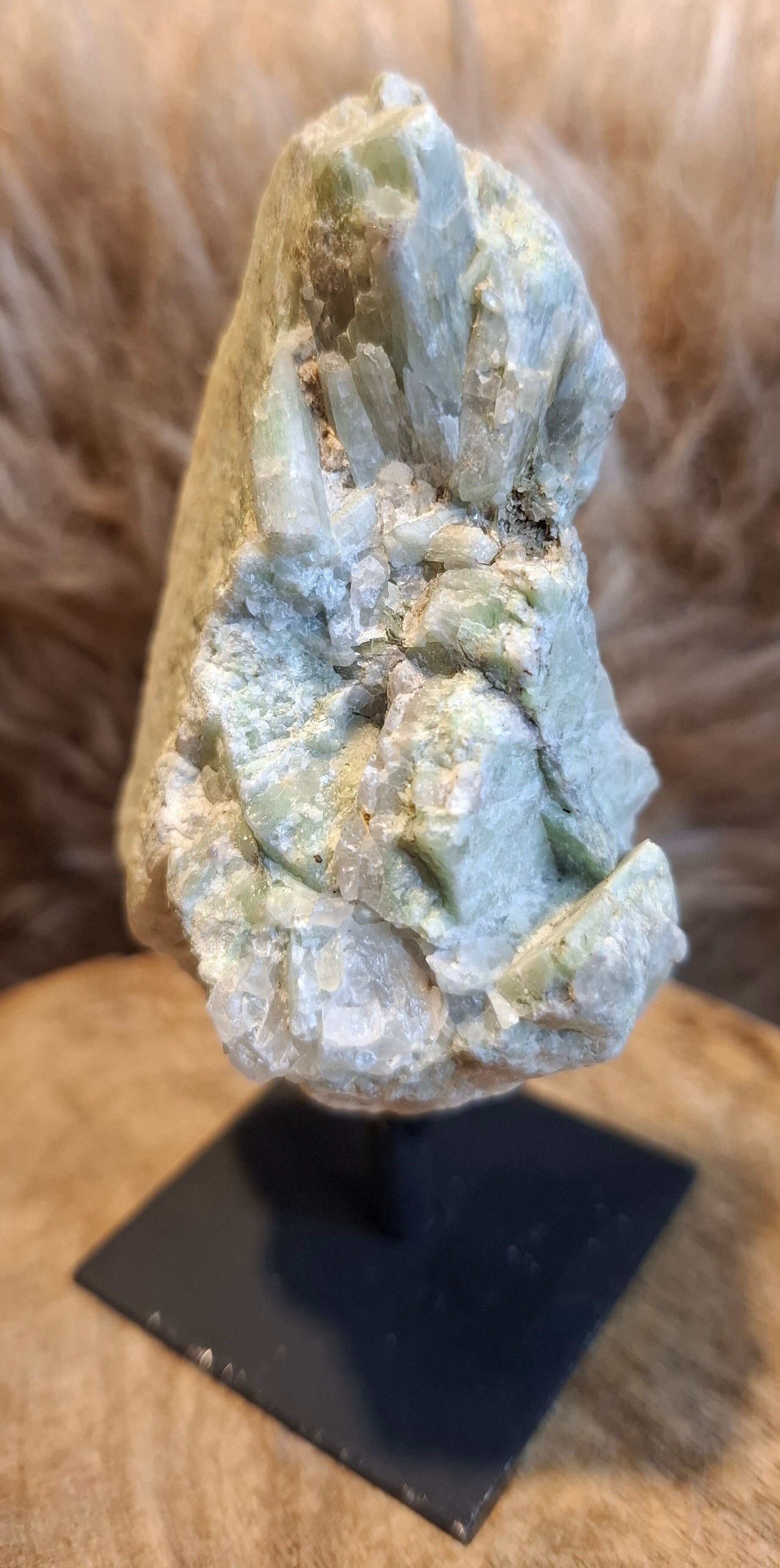 Amazoniet op standaard