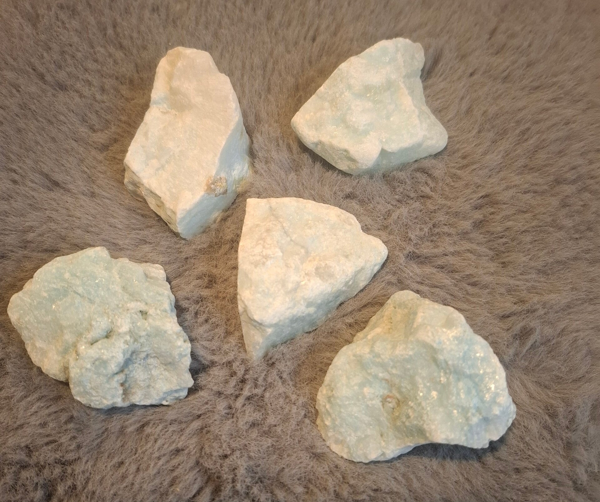 Ruwe caribean calciet