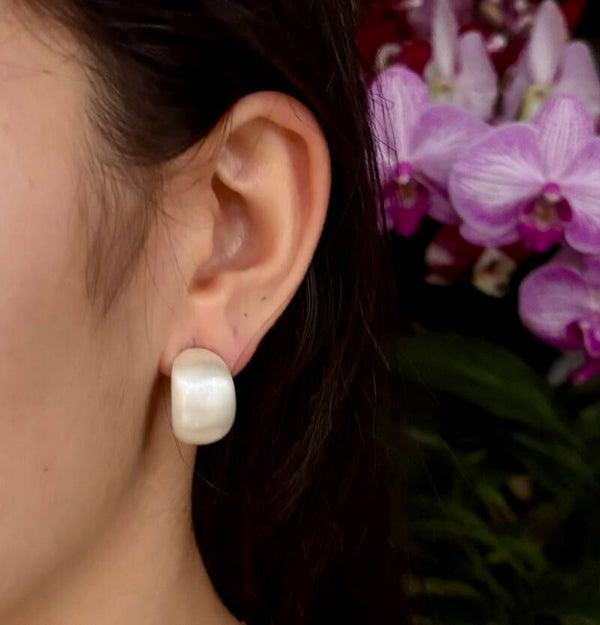 Silver Brushed Finish Dome Earrings