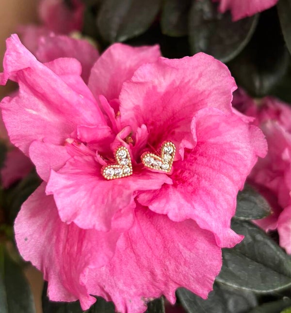 14ct Gold Plated Cubic Zirconia Heart Earrings