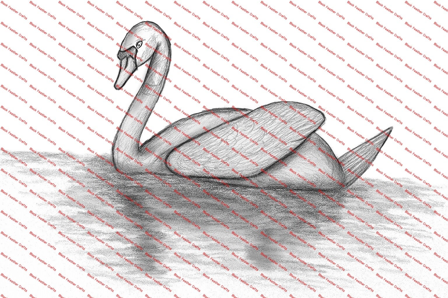 swan
