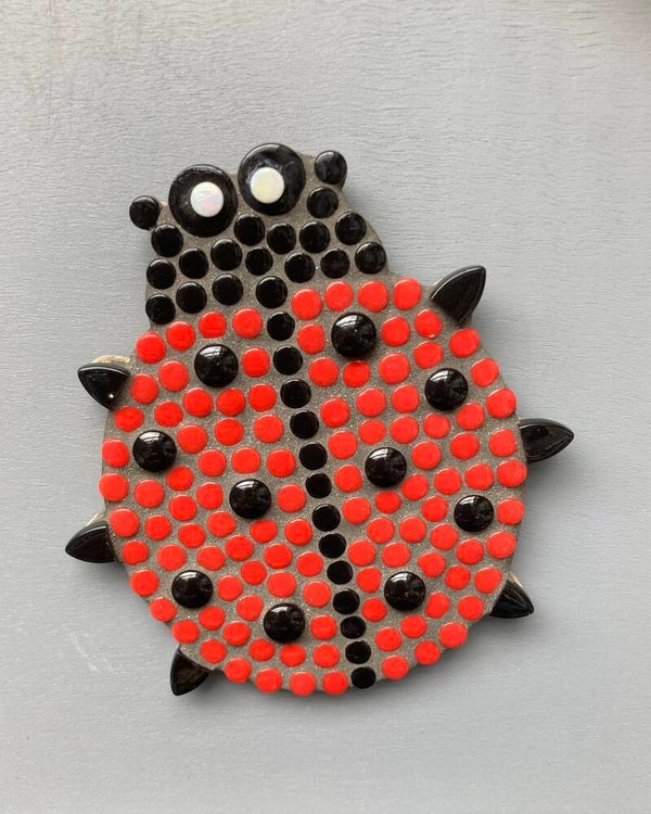 Lieveheersbeestje compleet pakket