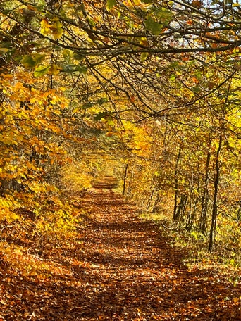 Natur