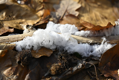 Winterwonderland