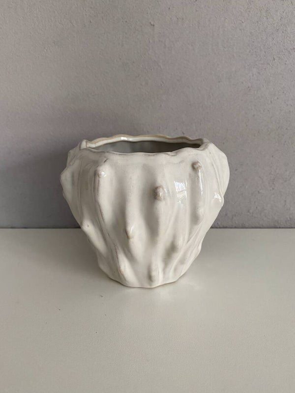 Bloempot