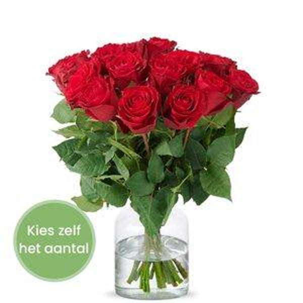 Red Roses Ruby Robijn