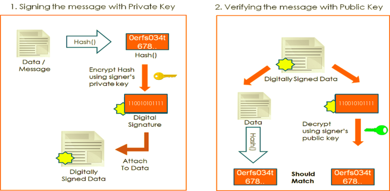 Private key verification on the blockchain. An illustration of this process. 