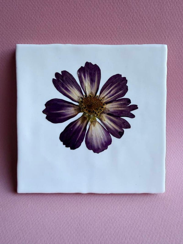 Tegeltje Cosmea No2
