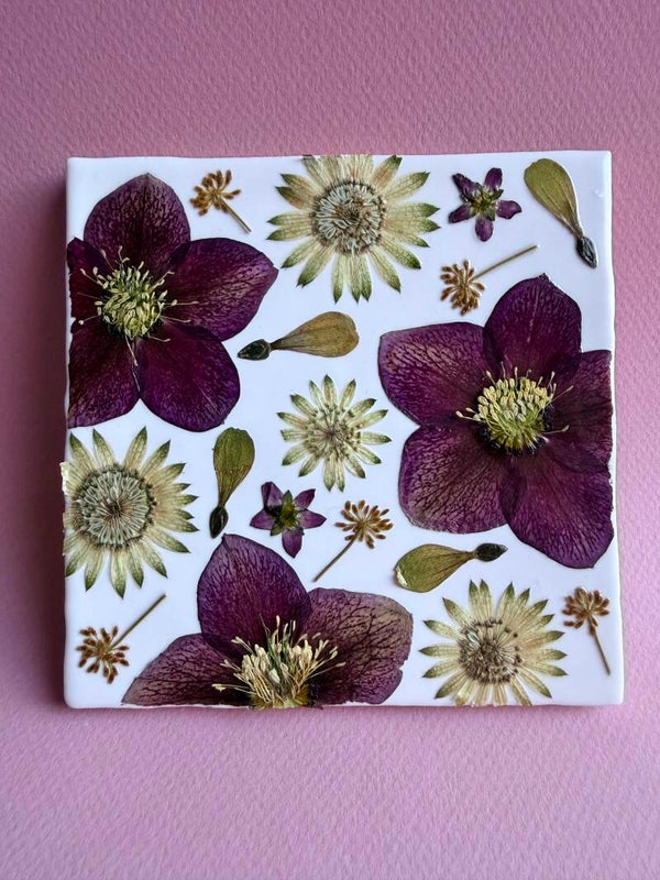 Tegeltje tuintje Helleborus en Zeeuws Knoopje
