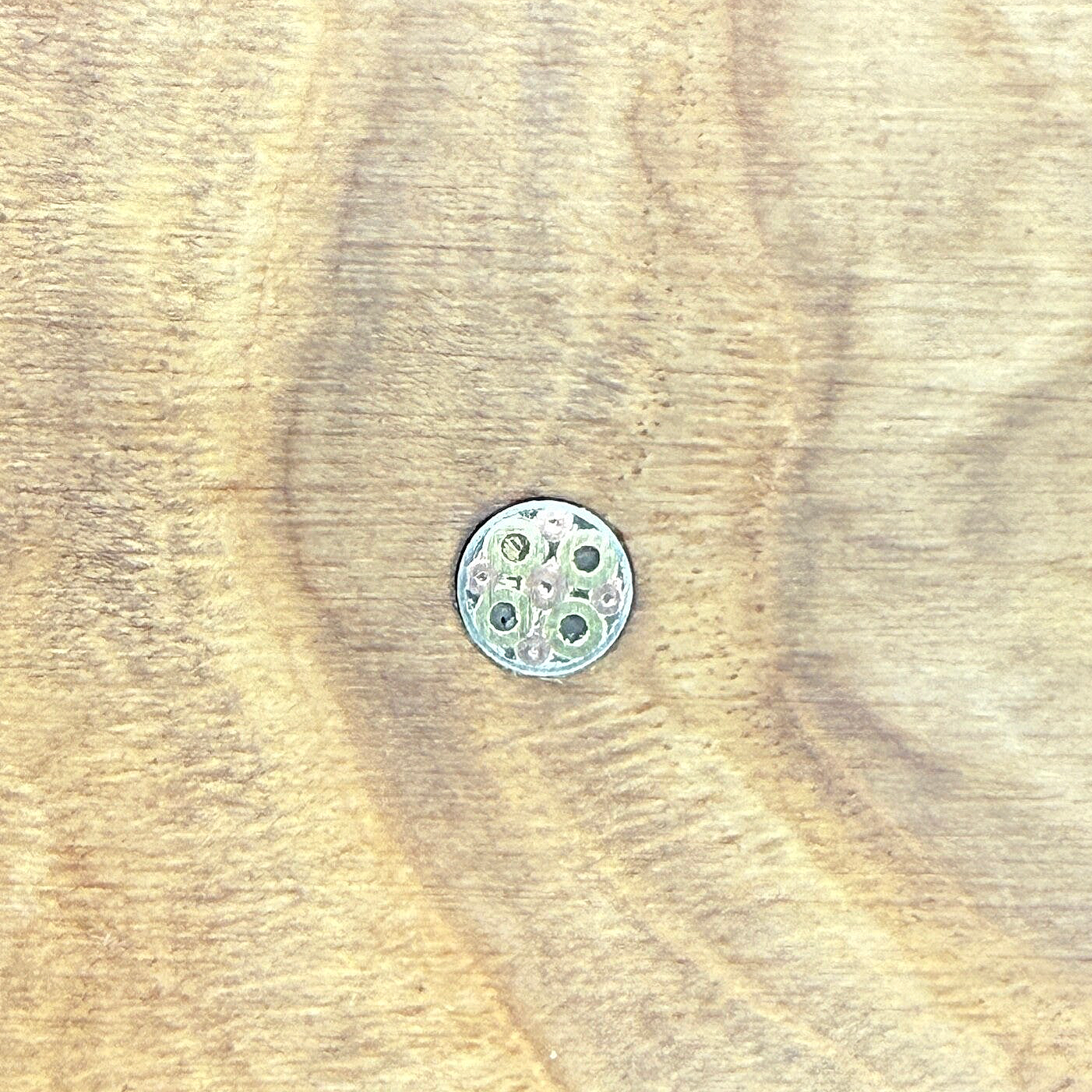 Mosaikpin #8 Ø 6 mm – Messing / Kupfer / Edelstahl / Messing / dunkles Harz