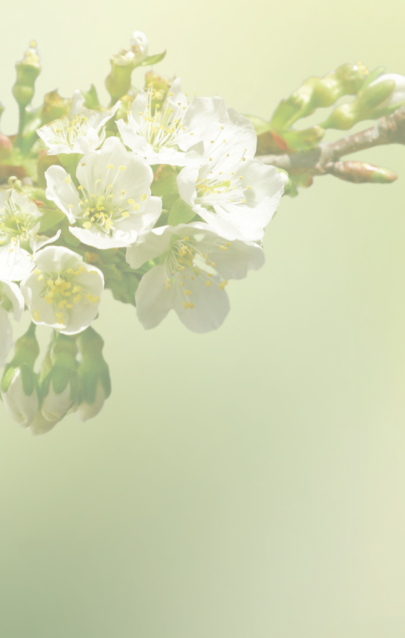 Dankbetuiging staand