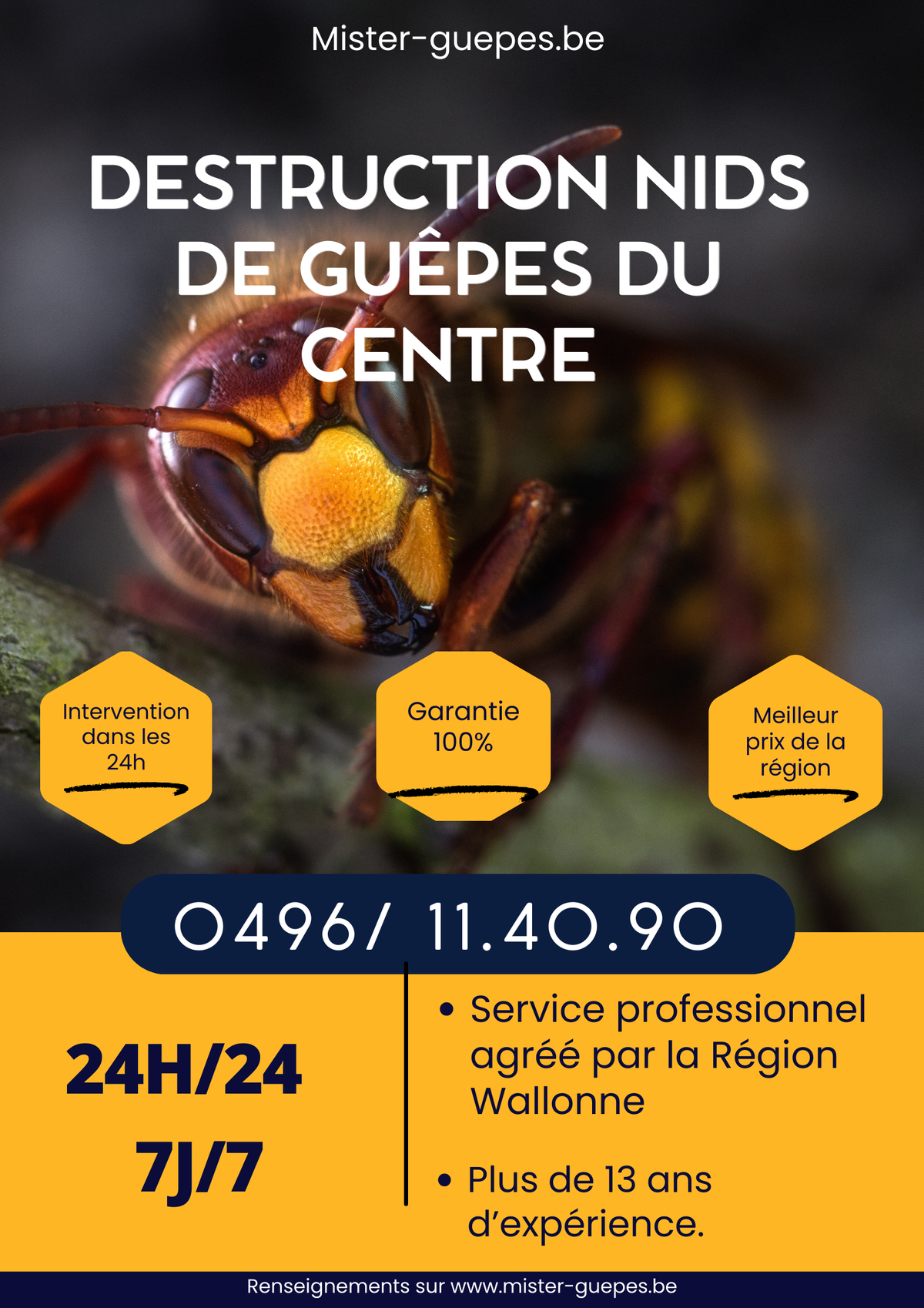 Destruction Nids de Guêpes du Centre — free download