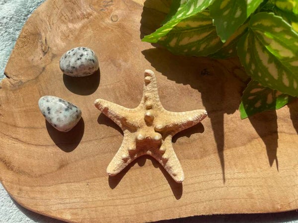 Kiwi Jaspis Trommelstenen