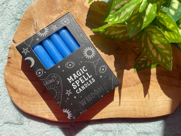 Spell Kaarsjes (12st) Donkerblauw