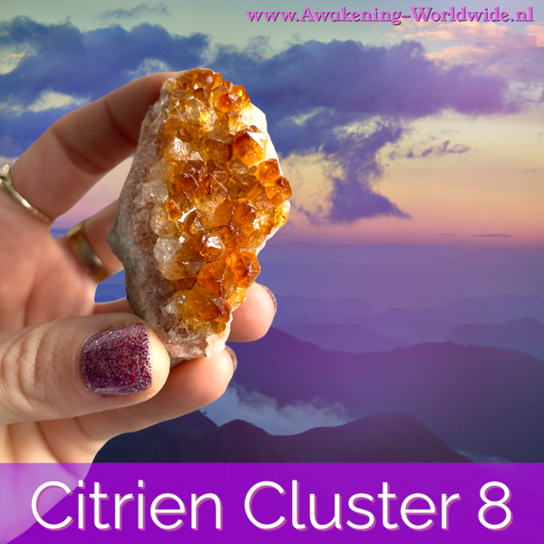 Citrien Cluster 8